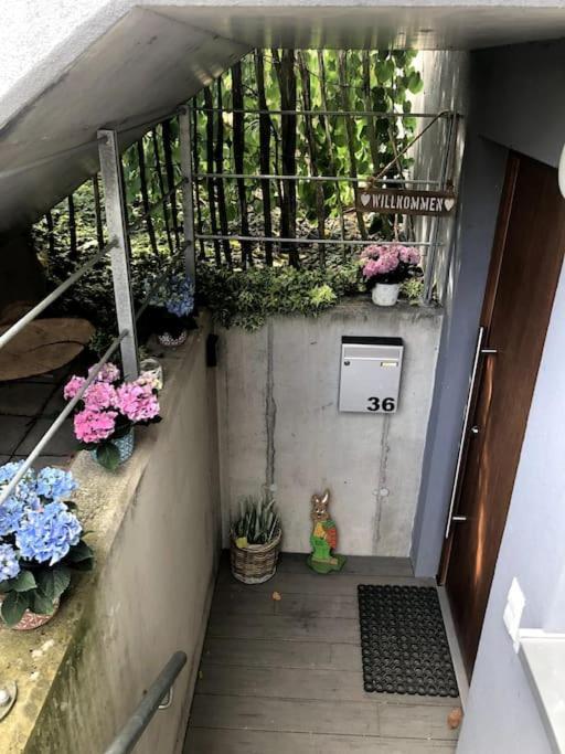 Wohnung In Gehobener Lage بروشسال المظهر الخارجي الصورة